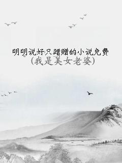 ˵ֻС˵