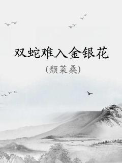 ˫