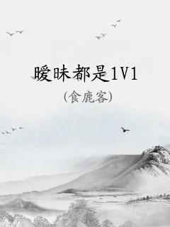 1V1