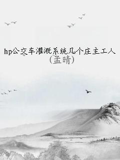 hpϵͳׯ